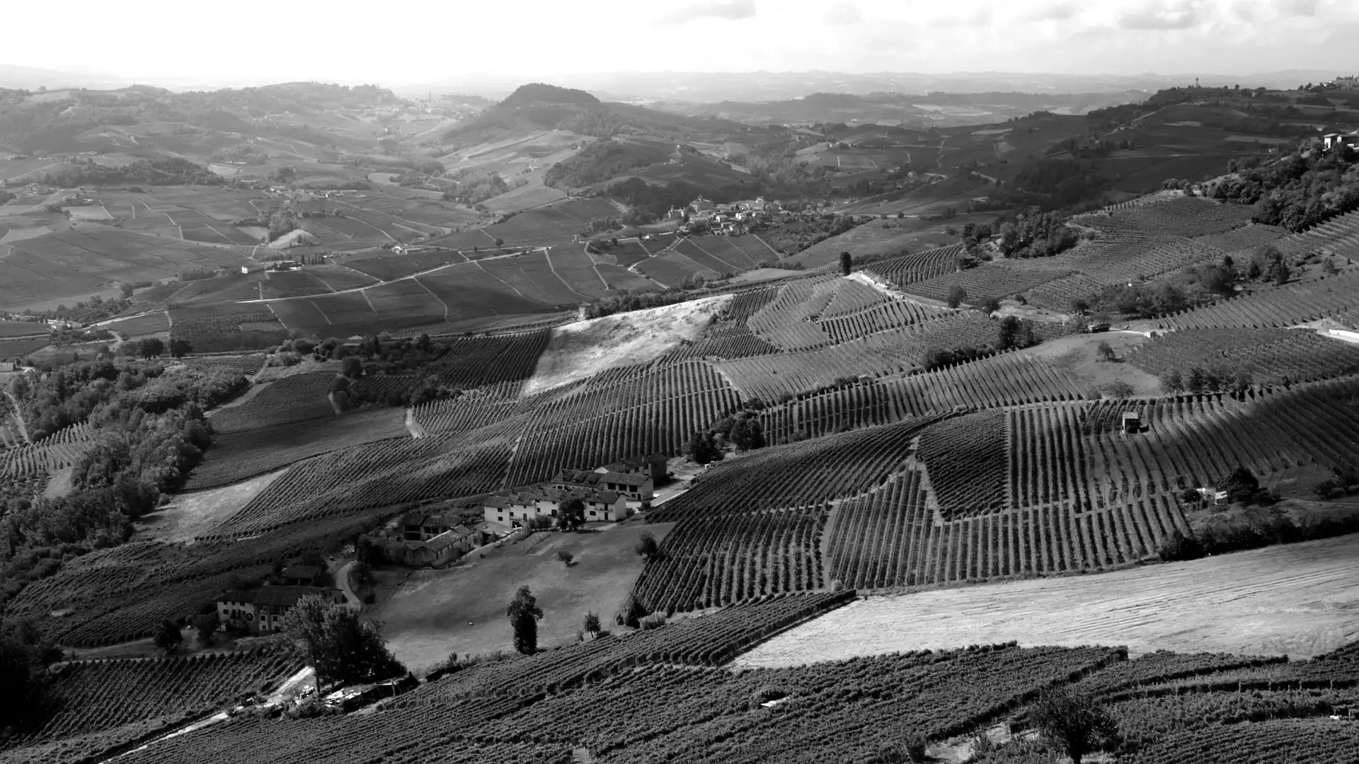 Chauffeur Service Langhe